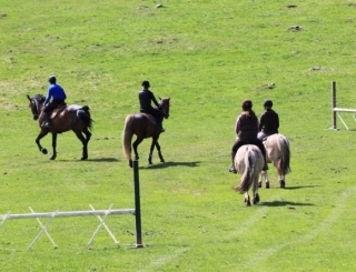  Aulas e cursos equestres 